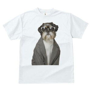 V[Y[ TVc  j[NfUCfB[X t@  t vg JWA 킢 lԗp Mtg I Kl V[Y[ WPbg ^[glbN