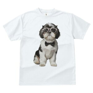 V[Y[ TVc  j[NfUCfB[X t@  t vg JWA 킢 lԗp Mtg I Kl V[Y[ lN^C