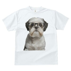 V[Y[ TVc  j[NfUCY LbY t@  t vg JWA 킢 lԗp Mtg I Kl V[Y[