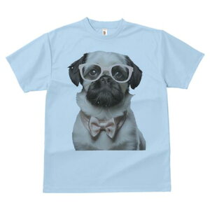 pO TVc  j[NfUCY LbY t@  t vg JWA 킢 lԗp Mtg I Kl pO lN^C