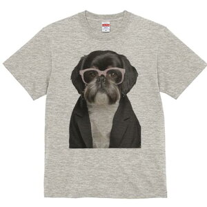 V[Y[ TVc  j[NfUCY LbY t@  t vg JWA 킢 lԗp Mtg I Kl V[Y[ WPbg