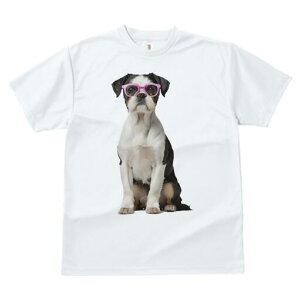 {XgeA TVc  j[NfUCfB[X t@  t vg JWA 킢 lԗp Mtg I Kl {XgeA