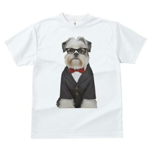 V[Y[ TVc  j[NfUCfB[X t@  t vg JWA 킢 lԗp Mtg I lN^C V[Y[ X[c ዾ