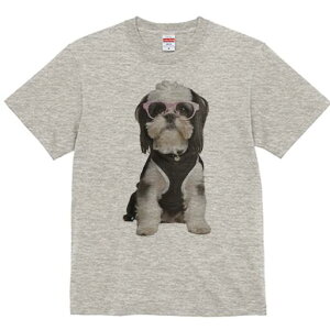 V[Y[ TVc  j[NfUCY LbY t@  t vg JWA 킢 lԗp Mtg I Kl V[Y[ 