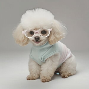 Kl gCv[h  NbVJo[ 45×45cm Aj}   NbV{̕t `