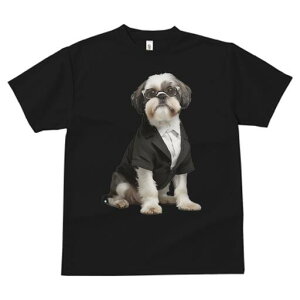 V[Y[ TVc  j[NfUCfB[X t@  t vg JWA 킢 lԗp Mtg I X[c V[Y[ ዾ rWlX