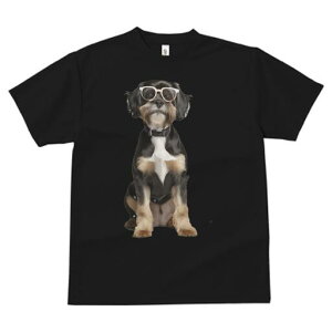 V[Y[,~j`AViEU[ TVc  j[NfUCY LbY t@  t vg JWA 킢 lԗp Mtg I Kl V[Y[,~j`AVi