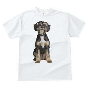 V[Y[,~j`AViEU[ TVc  j[NfUCY LbY t@  t vg JWA 킢 lԗp Mtg I Kl V[Y[,~j`AVi