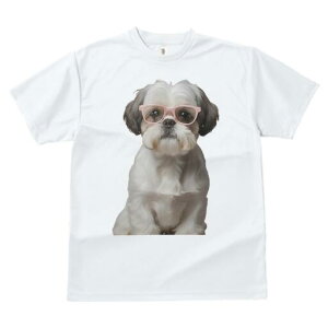 V[Y[ TVc  j[NfUCfB[X t@  t vg JWA 킢 lԗp Mtg I Kl V[Y[