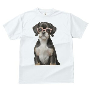 LoALO`[YXpjG TVc  j[NfUCfB[X t@  t vg JWA 킢 lԗp Mtg I Kl LoALO`[