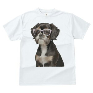 LoALO`[YXpjG TVc  j[NfUCfB[X t@  t vg JWA 킢 lԗp Mtg I Kl LoALO`[