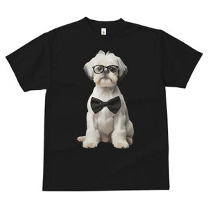 V[Y[ TVc  j[NfUCfB[X t@  t vg JWA 킢 lԗp Mtg I lN^C V[Y[ ዾ