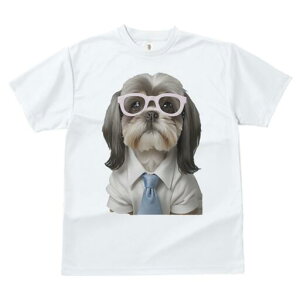 V[Y[ TVc  j[NfUCfB[X t@  t vg JWA 킢 lԗp Mtg I Kl V[Y[ Vc lN^C