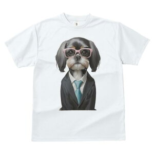 V[Y[ TVc  j[NfUCfB[X t@  t vg JWA 킢 lԗp Mtg I X[c V[Y[ lN^C ዾ