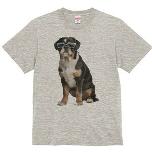 uhbO TVc  j[NfUCY LbY t@  t vg JWA 킢 lԗp Mtg I Kl uhbO