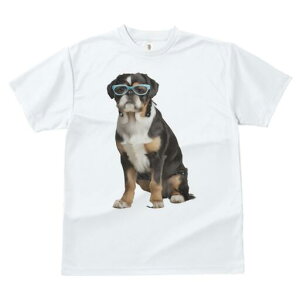 uhbO TVc  j[NfUCfB[X t@  t vg JWA 킢 lԗp Mtg I Kl uhbO