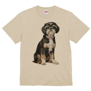 V[Y[ TVc  j[NfUCY LbY t@  t vg JWA 킢 lԗp Mtg I Kl V[Y[ sN̎