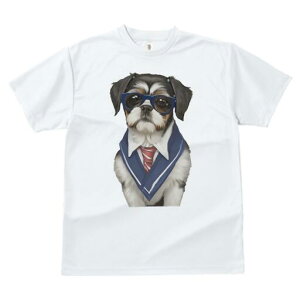 V[Y[ TVc  j[NfUCfB[X t@  t vg JWA 킢 lԗp Mtg I Kl V[Y[ lN^C X[c