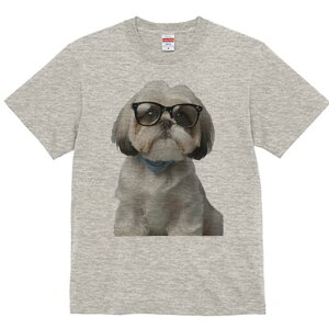 V[Y[ TVc  j[NfUCY LbY t@  t vg JWA 킢 lԗp Mtg I Kl V[Y[ o_i