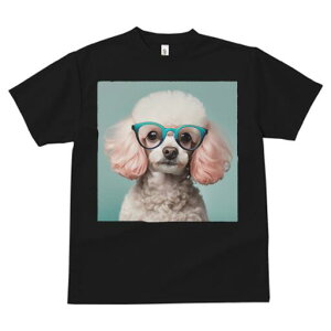 gCv[h TVc  j[NfUCY LbY t@  t vg JWA 킢 lԗp Mtg I Kl gCv[h