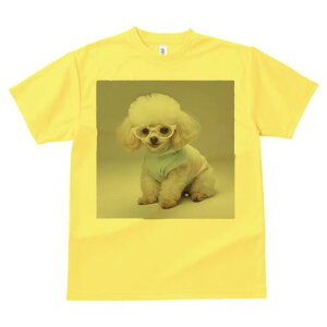 gCv[h TVc  j[NfUCY LbY t@  t vg JWA 킢 lԗp Mtg I Kl gCv[h 