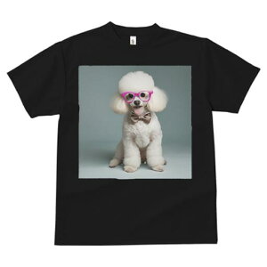 v[h TVc  j[NfUCfB[X t@  t vg JWA 킢 lԗp Mtg I Kl v[h lN^C