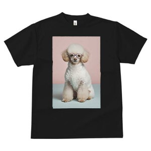 v[h TVc  j[NfUCY LbY t@  t vg JWA 킢 lԗp Mtg I Kl v[h