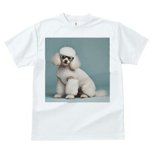 v[h TVc  j[NfUCfB[X t@  t vg JWA 킢 lԗp Mtg I Kl v[h 