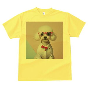 gCv[h TVc  j[NfUCY LbY t@  t vg JWA 킢 lԗp Mtg I Kl gCv[h Vc lN^C