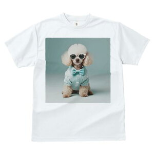 v[h TVc  j[NfUCfB[X t@  t vg JWA 킢 lԗp Mtg I TOX v[h lN^C Vc