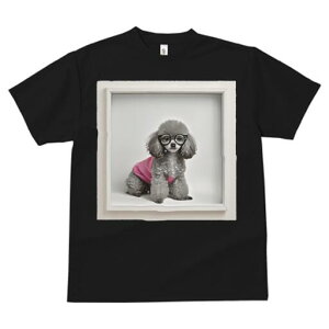 gCv[h TVc  j[NfUCfB[X t@  t vg JWA 킢 lԗp Mtg I Kl gCv[h sÑVc t[