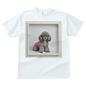 gCv[h TVc  j[NfUCY LbY t@  t vg JWA 킢 lԗp Mtg I Kl gCv[h sÑVc t[