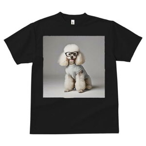 v[h TVc  j[NfUCfB[X t@  t vg JWA 킢 lԗp Mtg I Kl v[h Z[^[