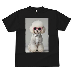 v[h TVc  j[NfUCfB[X t@  t vg JWA 킢 lԗp Mtg I TOX v[h Vc