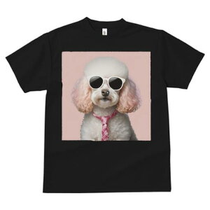 v[h TVc  j[NfUCfB[X t@  t vg JWA 킢 lԗp Mtg I TOX v[h lN^C