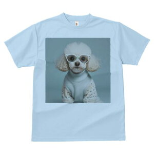 gCv[h TVc  j[NfUCY LbY t@  t vg JWA 킢 lԗp Mtg I Kl gCv[h Z[^[