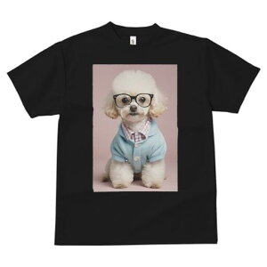 gCv[h TVc  j[NfUCfB[X t@  t vg JWA 킢 lԗp Mtg I Kl gCv[h Vc J[fBK