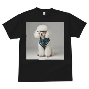 gCv[h TVc  j[NfUCfB[X t@  t vg JWA 킢 lԗp Mtg I Kl gCv[h Vc lN^C