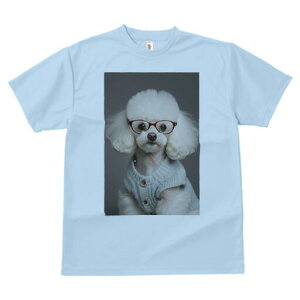 gCv[h TVc  j[NfUCY LbY t@  t vg JWA 킢 lԗp Mtg I Kl gCv[h Z[^[