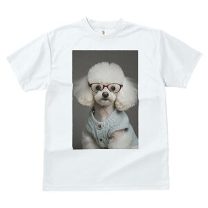 gCv[h TVc  j[NfUCfB[X t@  t vg JWA 킢 lԗp Mtg I Kl gCv[h Z[^[