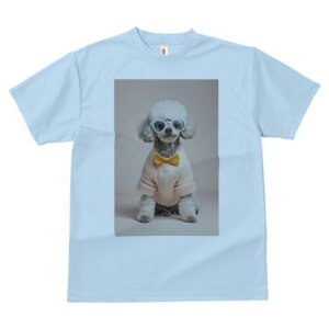 gCv[h TVc  j[NfUCY LbY t@  t vg JWA 킢 lԗp Mtg I Kl gCv[h Z[^[ lN^C