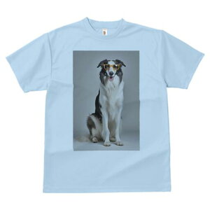 {[_[R[ TVc  j[NfUCY LbY t@  t vg JWA 킢 lԗp Mtg I Kl {[_[R[