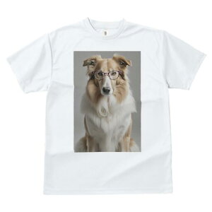 R[ TVc  j[NfUCY LbY t@  t vg JWA 킢 lԗp Mtg I Kl R[