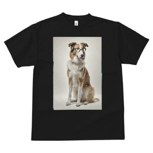 {[_[R[ TVc  j[NfUCfB[X t@  t vg JWA 킢 lԗp Mtg I Kl {[_[R[