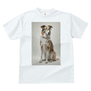 {[_[R[ TVc  j[NfUCY LbY t@  t vg JWA 킢 lԗp Mtg I Kl {[_[R[