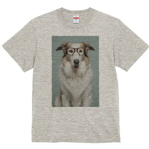 {[_[R[ TVc  j[NfUCY LbY t@  t vg JWA 킢 lԗp Mtg I Kl {[_[R[