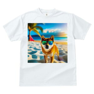 Č TVc  j[NfUCfB[X t@  t vg JWA 킢 lԗp Mtg I r[` Č TOX  C