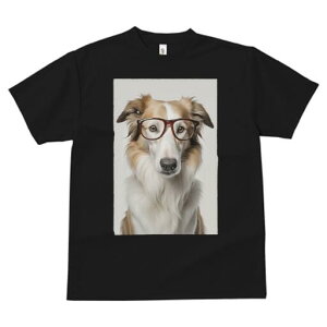 {[_[R[ TVc  j[NfUCfB[X t@  t vg JWA 킢 lԗp Mtg I Kl {[_[R[