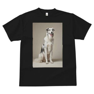 {]C TVc  j[NfUCfB[X t@  t vg JWA 킢 lԗp Mtg I Kl {]C