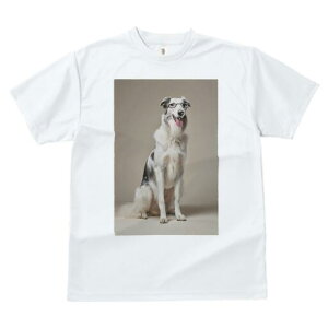 {]C TVc  j[NfUCY LbY t@  t vg JWA 킢 lԗp Mtg I Kl {]C